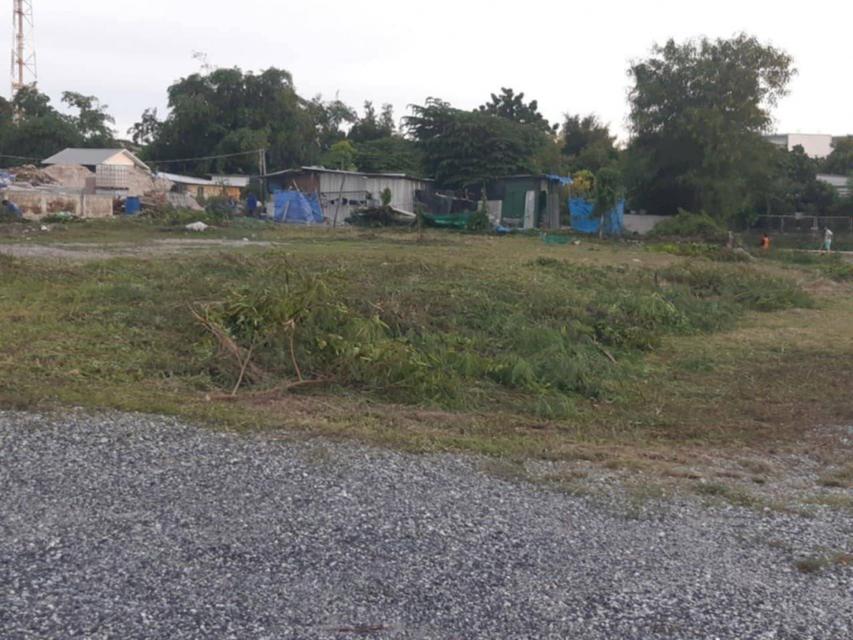 ให้เช่า ที่ดินผังม่วง​ลายติดถนนเส้นหลักในนิคมเอเชีย​ 5 ไร่​ 2​ งาน​ 66​ ตารางวา​ ปรับหน้าดินเรียบร้อยแล้วมีเสาไฟ 2 ต้น 5