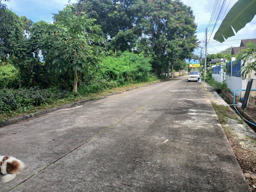 ขายที่ดินวิวสวยๆแปลงหัวมุม ถนนรอบ 4 ด้านโซนตรงกลาง ในหมู่บ้านสวนนนทรีย์แยกรวมโชค แบ่งแยกโฉนดเรียบร้อบแล้วพร้อมสร้างบ้าน 5