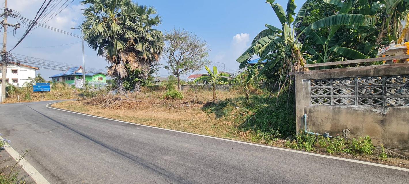 ขายที่ดิน 100 ตารางวา ตำบลท่าวาสุกรี (คลองสระบัว) อำเภอพระนครศรีอยุธยา จังหวัดพระนครศรีอยุธยา 5