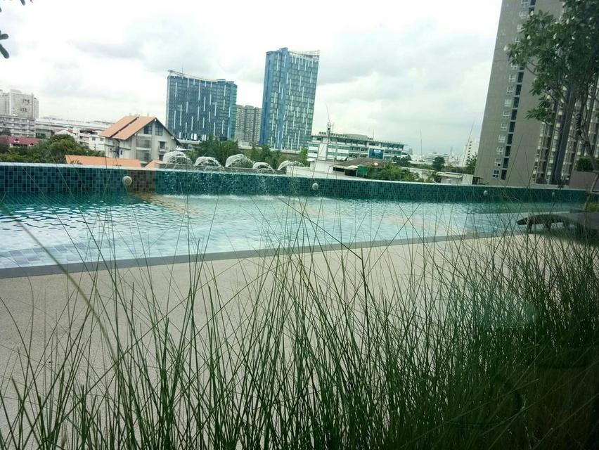 ประกาศขาย: คอนโด ศุภาลัย เวอเรนด้า รัชวิภา–ประชาชื่น ชั้น 29 วิวสวย โล่ง ไม่มีสิ่งบดบัง 9