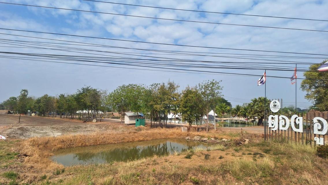 ที่ดิน 30 ไร่ ติดถนนสาย 21 ถมแล้ว อ.พัฒนานิคม จ.ลพบุรี 2