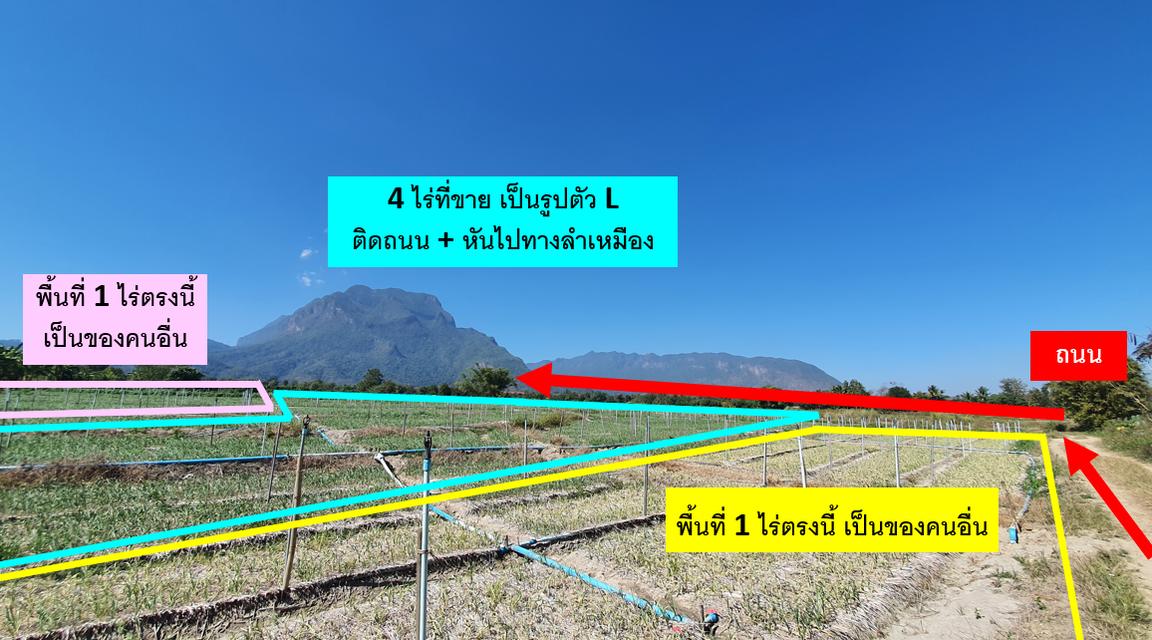 ที่ดิน อ.เชียงดาว จ.เชียงใหม่ วิวดอยหลวง 4 ไร่ 🔥 5.2 ล้าน 🔥 3