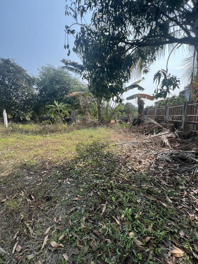 ขายที่ดิน ซ.กันตนา เนื้อที่ 152 ตรว. 3