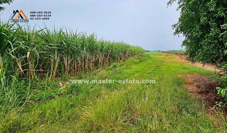 ที่ดินเปล่า คลอง 4 ฝั่งตะวันออก เลียบคลองระพีพัฒน์ 38-3-95.9 ไร่ ติดถนนสาธารณะ สวยมาก เหมาะทำโครงการจัดสรร | อาคารชุด ราคาสุดคุ้ม 10