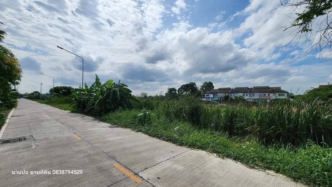 Vายด่วนที่ดินคลองสอง  363 ตารางวา ติดถนนคอนกรีตสาธารณะ  ซอยแก้วบาง อ.คลองหลวง จ.ปทุมธานี 5