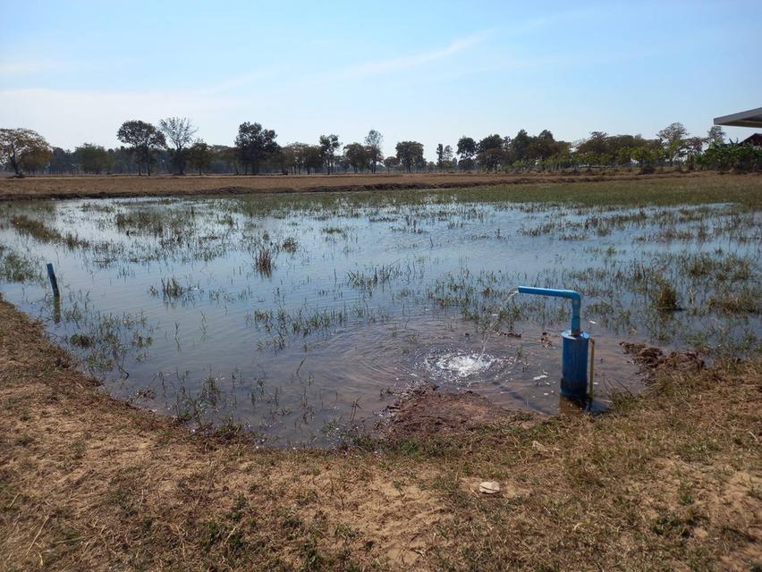 ที่ดินในจังหวัดบุรีรัมย์ 8