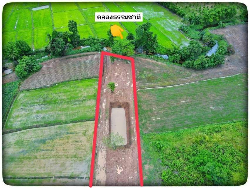 ที่ดินวิวภูเขา โครงการรีสอร์ต 1 ไร่ 3 งาน 4