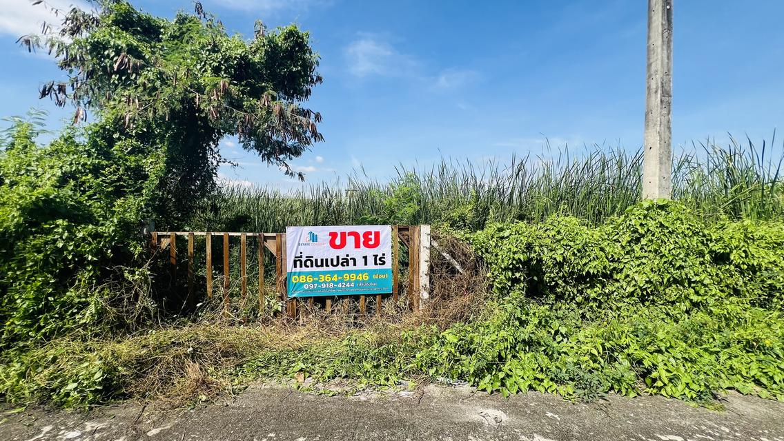 ที่ดินเปล่า 1 ไร่ คลอง 2 รังสิต-นครนายก ทำเลทองเหมาะสำหรับสร้างโกดัง-คลังสินค้า-โรงงานขนาดเล็ก-โฮมออฟฟิศ หรือจะซื้อเก็บไว้ เก็งกำไรระยะยาว ก็ปังแน่นอน 2