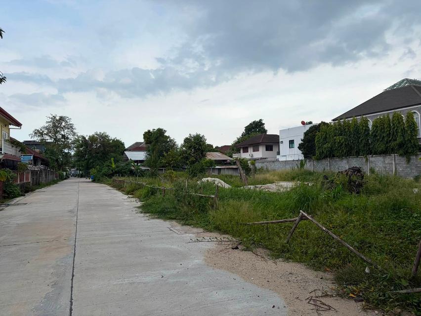 ขายที่ดินสุขุมวิท101 ปุณณวิถี39 ที่ดิน382ตร.ว ขาย 95,000/ตร.ว หน้ากว้างติดถนน 53ม. ใกล้รถไฟฟ้าBTSปุณณวิถี อุดมสุข เข้าออกได้ศรีนครินทร์ บางนา สุขุมวิท 3