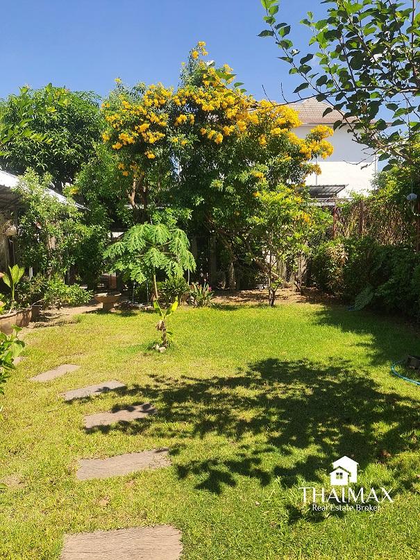 ขายที่ดิน 108 ตรว. พร้อมกิจการเกสต์เฮ้าส์ ใกล้สถานีขนส่งจังหวัดเชียงใหม่ 7