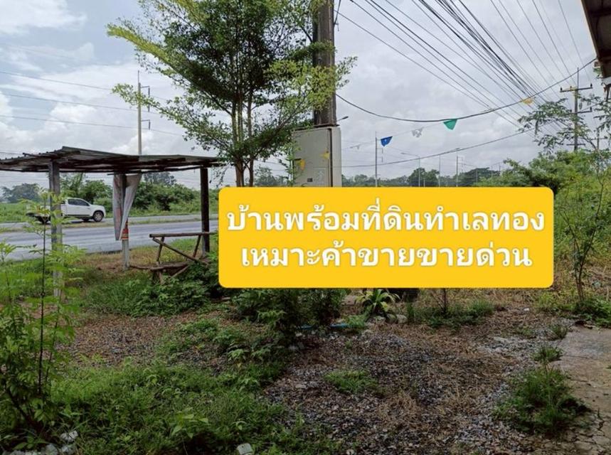 ขายด่วน..ขายบ้านพร้อมที่ดินริมถนนมิตรภาพ ในเมืองอุดรธานี  6