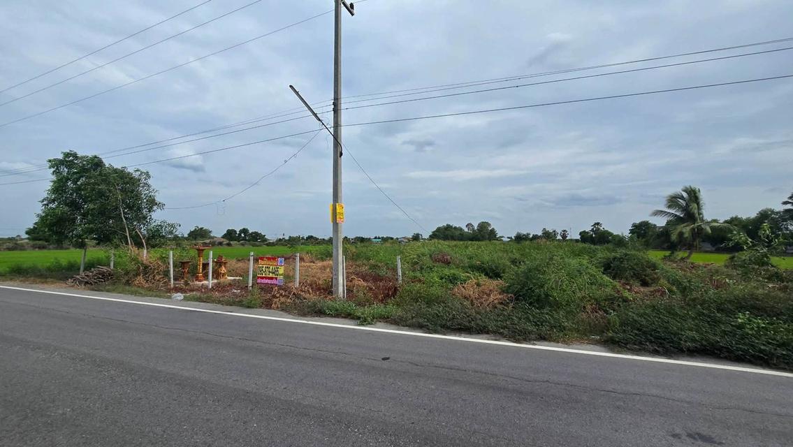 ขายด่วนที่ดินใกล้วัดไผ่หูช้าง 6-3-9 ไร่ ติดถนนลาดยางสาธารณะ บางเลน นครปฐม 3