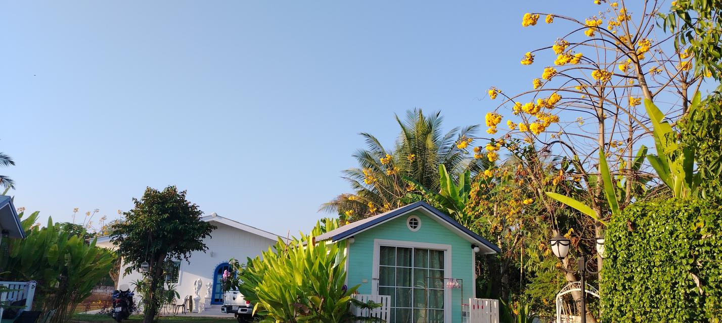 บ้านพร้อมที่ดิน215ตรว​ 3.8ล้าน 9