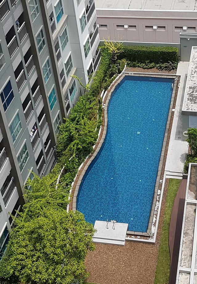 รีโนเวทใหม่ทั้งห้อง!!! ให้เช่า คอนโด Aspire Sathorn-Taksin (Timber Zone) ตึกแรกจากถนนวิวสวยทิศเหนือเย็นสบายแบบครัวปิด 400 เมตรถึง BTS วุฒากาศ 11