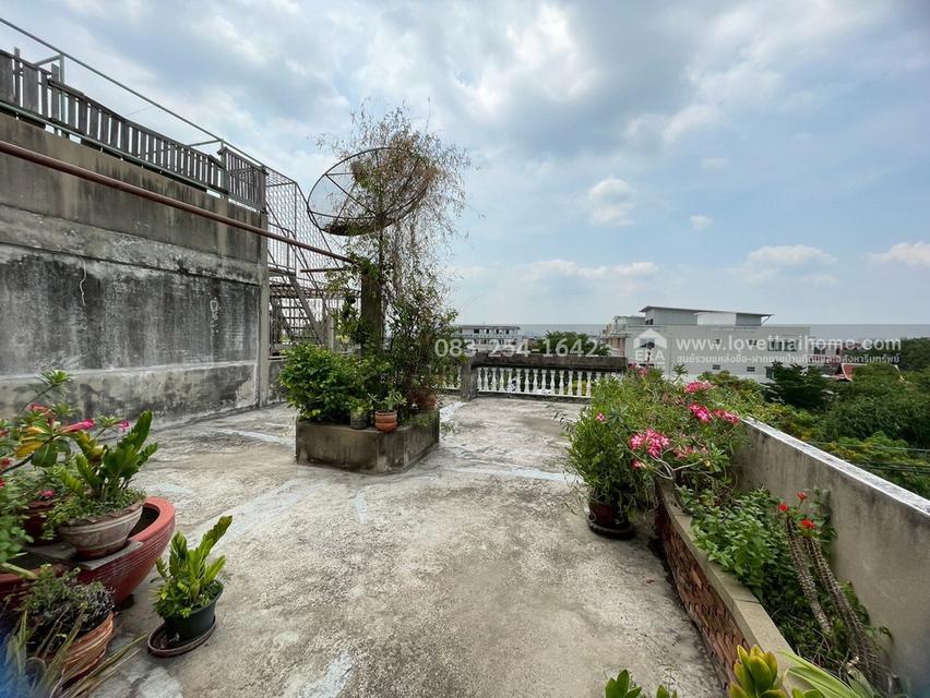 ขายตึกแถว วชิรธรรมสาธิต60 ถ.สุขุมวิท101/1 พร้อมกิจการเครื่องซักผ้า ราคาเพียง15.5ล้าน ตึกห้องริม2คูหา39ตรว. เห็นชัด เหมาะค้าขายและทำสำนักงาน 13