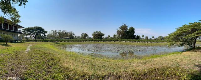 ขายบ้านและพร้อมที่ดิน 20