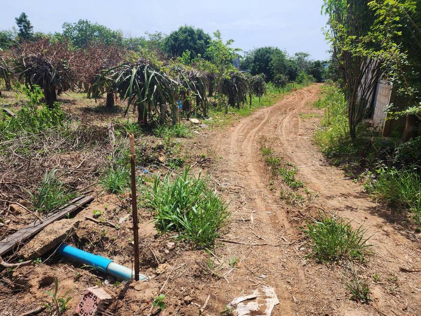 ที่ดิน 10 ไร่ 70 ตรว. นิคมฯ กม.5 อ่าวน้อย ประจวบคีรีขันธ์ 6