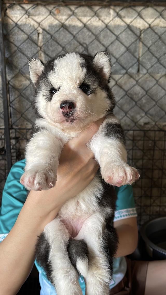 อัปเดตเด็กเข้าใหม่ เริ่มต้น5000 รูปที่ 6