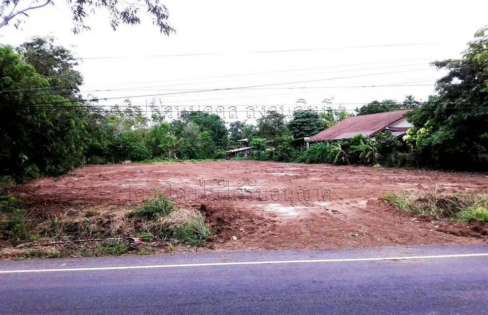 ต้องการขาย ที่ดิน 1 ไร่ 54 ตรว. ต.ม่วงงาม อ.เสาไห้ จ.สระบุรี