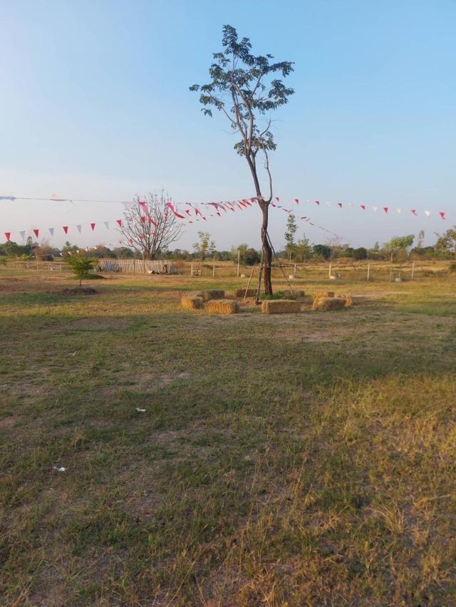 ขายกิจการรีสอร์ท 7