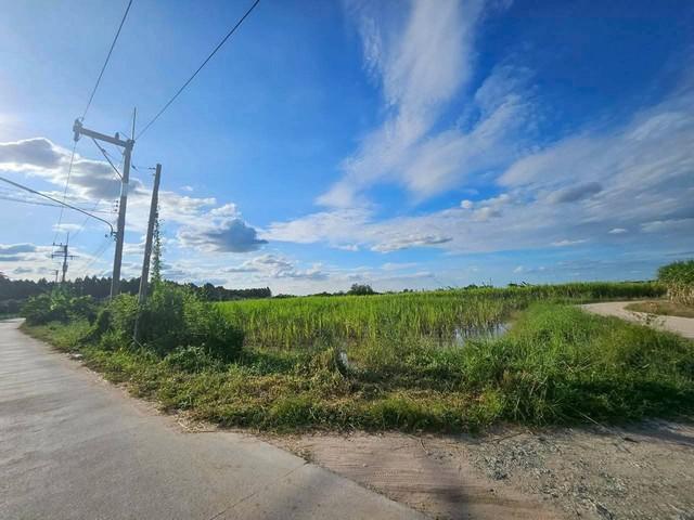 ขายที่ดินสวยพนัสชลบุรี ขายที่ดิน 47 ไร่ 40 ตารางวา ผังสีเหลือง เป็นถนนสี่เลนอยู่ในแหล่งความเจริญ ใกล้เขตอุตสาหกรรม 7