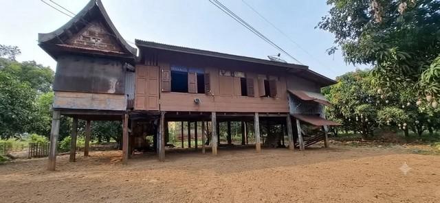 ขายบ้านสวนริมน้ำ จังหวัดพระนครศรีอยุธยา บ้านไม้เรือนไทย บนที่ดินแปลงสวย 315 ตารางวา ติดคลอง ใกล้แม่น้ำเจ้าพระยา 2