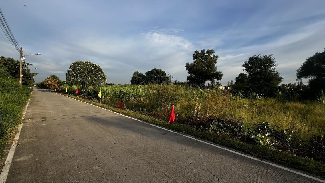 ขายที่ดินเปิดแปลงใหม่ คลองสาม  คลองหลวง ปทุมธานี 100 ตารางวาเพียง  8.5 แสนบาท 13