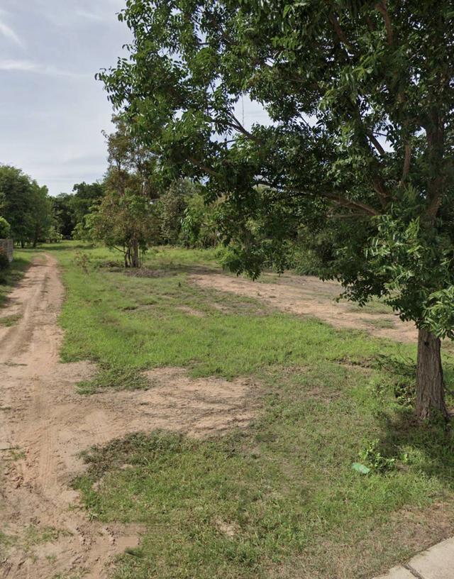 ขายที่ดินตำบลโคกสูงเมืองจังหวัดนครราชสีมา ขนาดที่ดิน11-3-75ไร่โฉนด รูปที่ 4