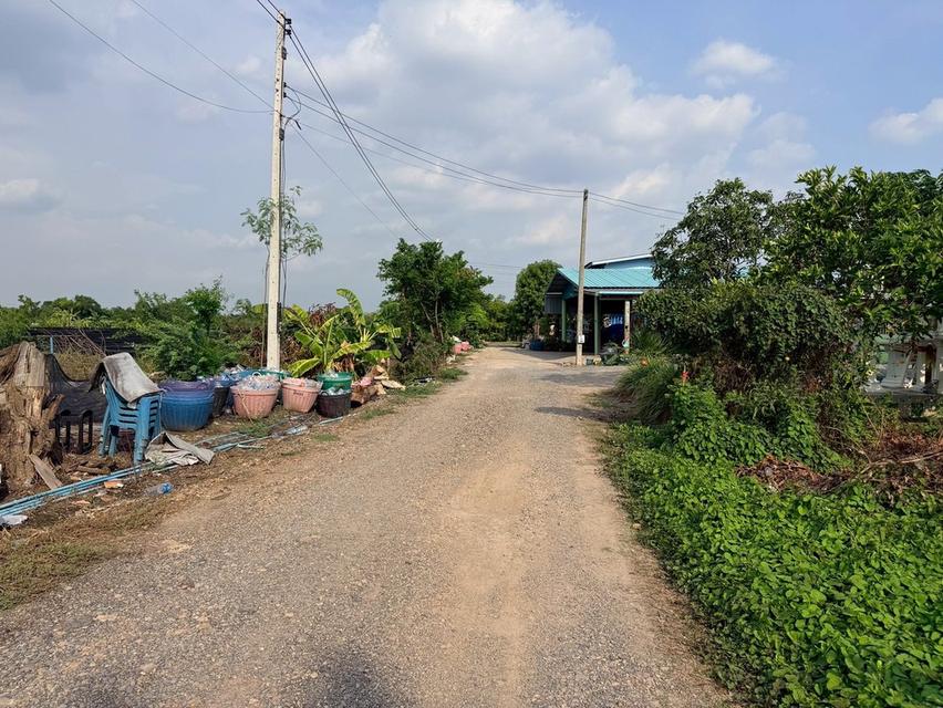 ขายด่วนที่ดินใกล้ อบต.บางหลวง 144 ตรว ติดถนนหินคลุก ต.บางหลวง เมืองปทุมธานี 7