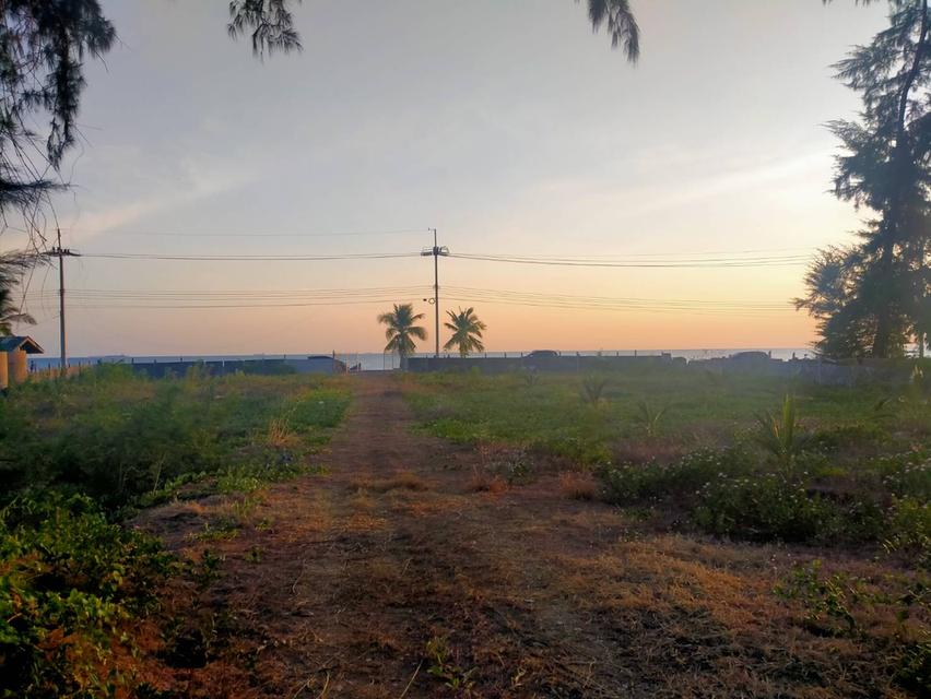 ขายที่ดินทำเลทองเมืองระยอง ติดชายหาดทะเลPMY 3ไร่ ติดหน้าชายหาด วิวทะเลสวยมาก 2