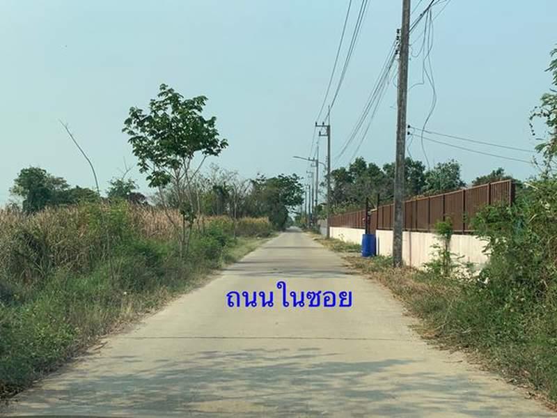 ที่ดิน 4