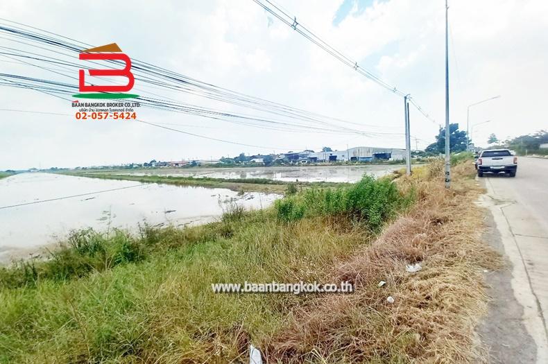 ที่ดินเปล่า ถนนเลียบตะวันออกคลอง 7, เทศบาลลำลูกกา ซอย 3 เนื้อที่ 84-1-19 ไร่ ตำบลลำลูกกา อำเภอลำลูกกา จังหวัดปทุมธานี 10