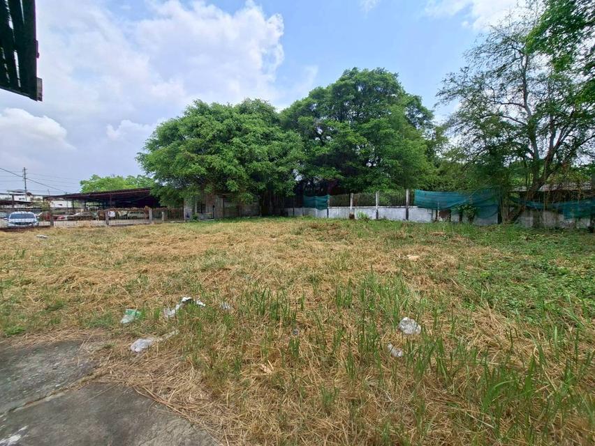 ขายที่ดินถมแล้ว พร้อมสิ่งปลูกสร้าง พื้นที่เยอะ ซอยสุขสวัสดิ์ 70 ใกล้รถไฟฟ้า สถานีครุใน (N.2026) 14