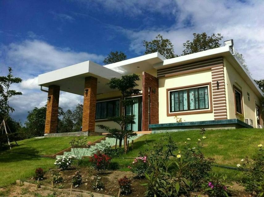 ที่ดินจังหวัดเชียงใหม่ 7-1-71 ไร่ 8