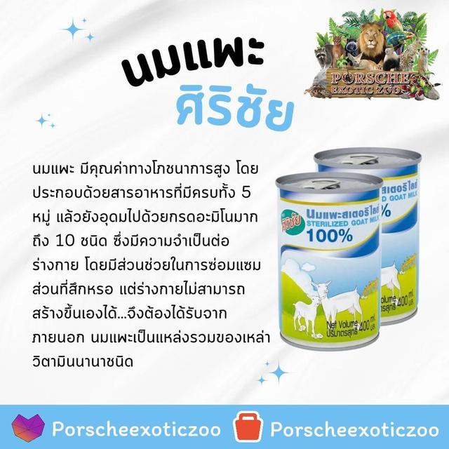 อาหารและอุปกรณ์สัตว์เลี้ยง 10