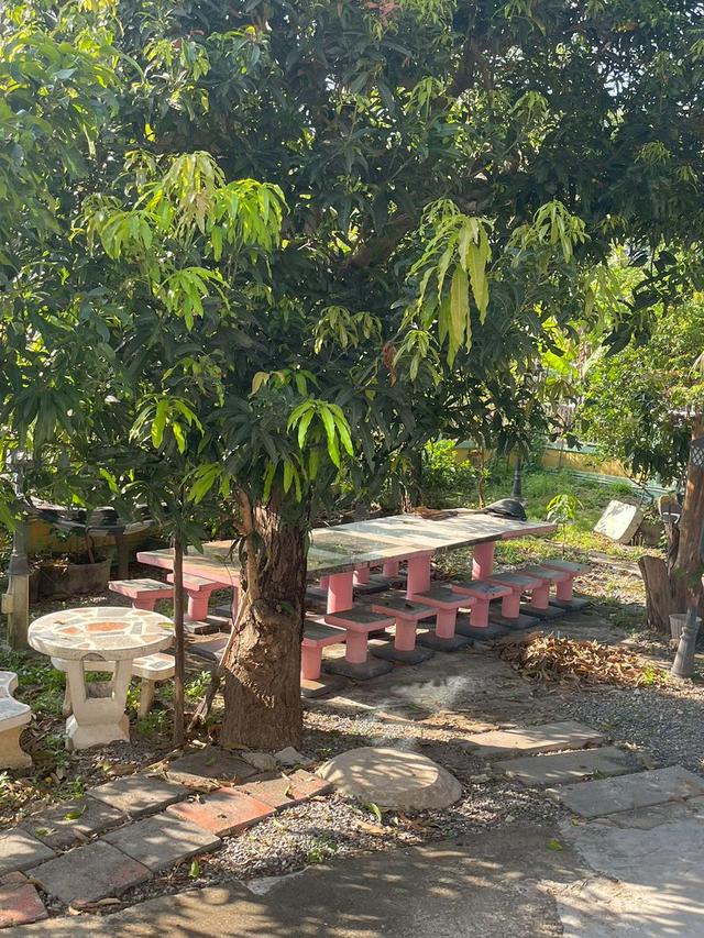 🏡 บ้านเดี่ยว 222 ตร.วา หมู่บ้านกฤษดานคร 25 มีบึงน้ำ + ศาลากลางน้ำ บรรยากาศเหมือนรีสอร์ท ราคา 12.5 ล้าน 20