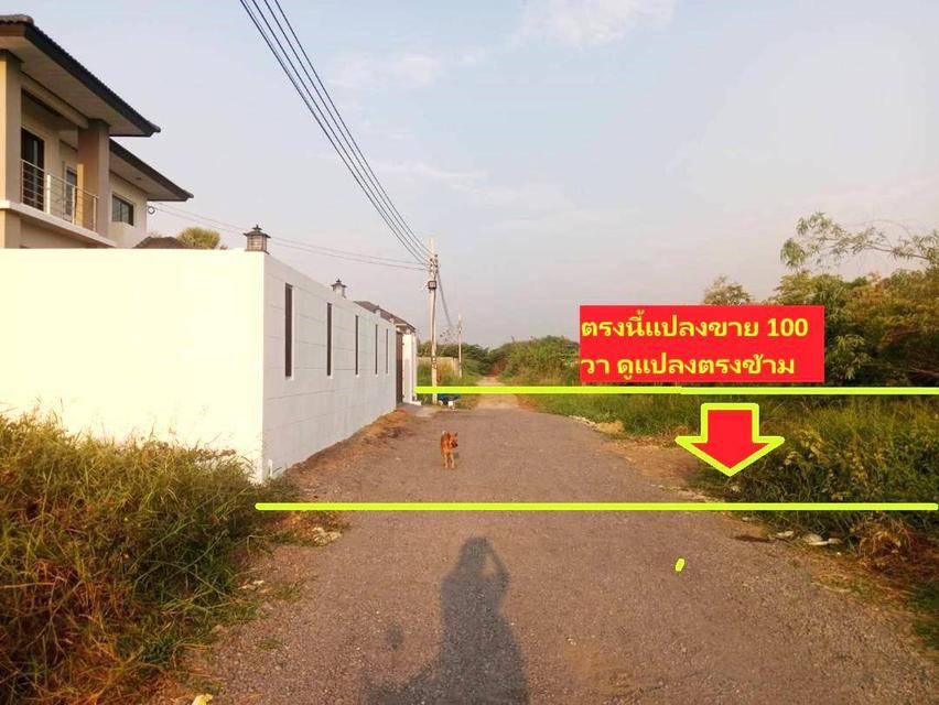 ขายที่ดินจัดสรร 100 ตารางวา ทำเลสายไหม ซอย 6 หรือ พหลโยธิน 54/1 แยก 8-4-3 สวยมาก ถ้าคุณต้องสร้างบ้านต้องรีบทั้งทำเล ราคา ใกล้เมืองสู่ทุกจุดอย่างสวยมาก 2