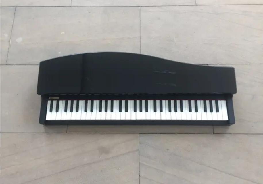 Korg micro Piano (Made in Japan) 1