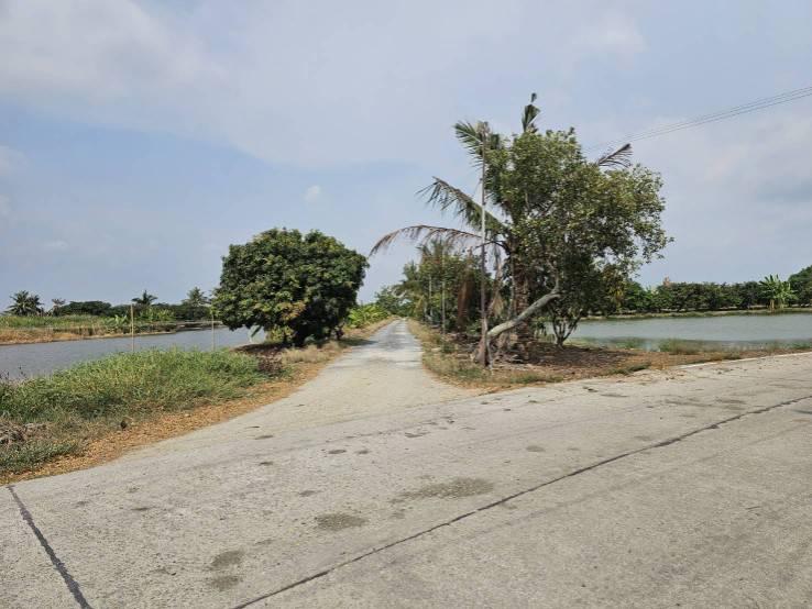 ขายที่ดินเปล่า แปลงมุม  ติดถนน 2 ด้าน ซอยวัดศรีวารีน้อย  อำเภอบางเสาธง สมุทรปราการ 9