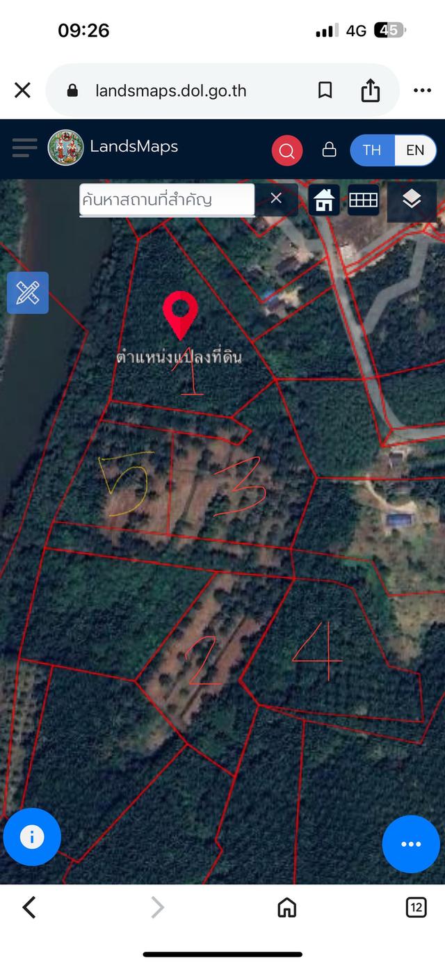 ที่ดินสวนปาล์ม5แปลงจำนวน36ไร่ 1