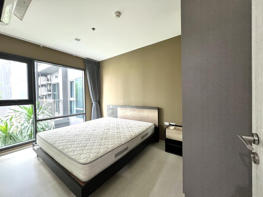 Rhythm Condo Sukhumvit 36-38 | 33.11 sq.m. | Swiming Pool View 8