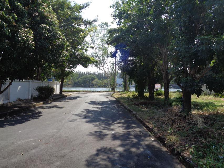 🚩 ขายที่ดินแปลงหัวมุม 129 ตารางวา ราคาถูกสุด❗ ทำเลดี ภายในโครงการหรูมีระดับ 16