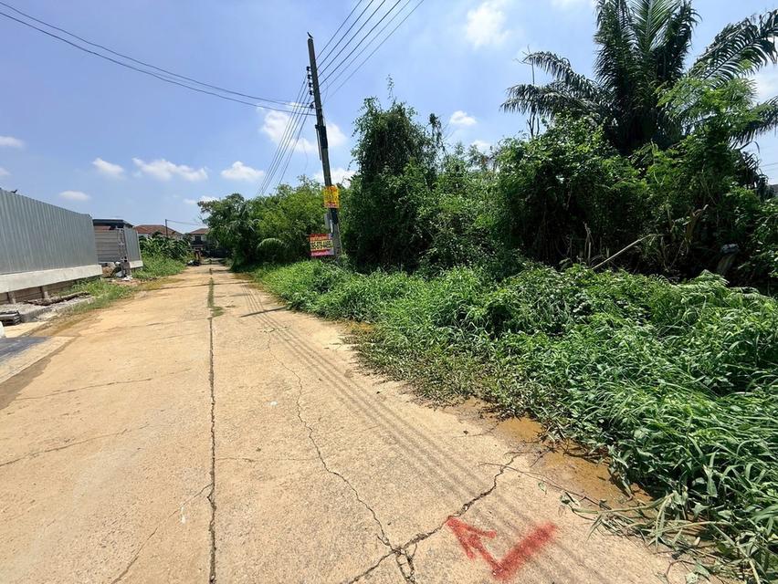 ขายด่วนที่ดิน 704 ตรว ติดถนนพุทธมณฑลสาย 2 ถนนพุทธมณฑลสาย 2 เขตบางแค กทม 5