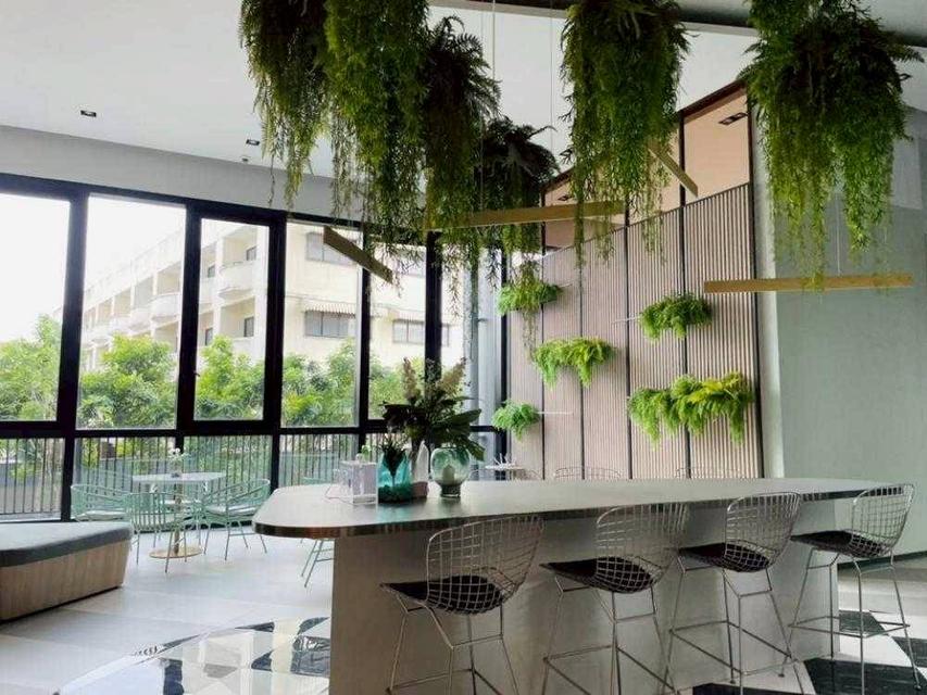 ปล่อยเช่า คอนโด Niche Mono Mega Space Bangna 16