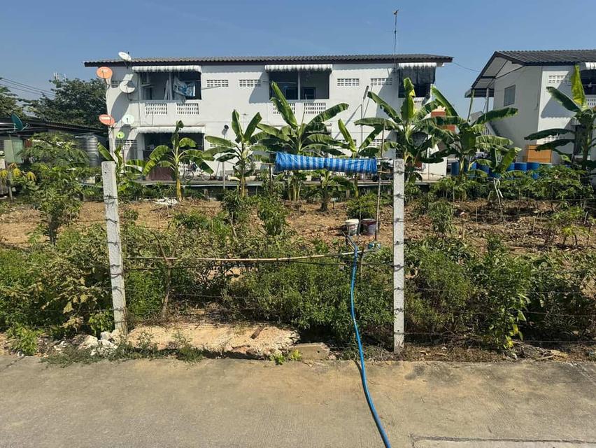 ขายที่ดิน 100 วา 5.5ล้าน(วาละ55000) ที่ดินอยู่ซ.ปากน้ำกระโจมทอง11 เขตตลิ่งชัน เข้าไปนิดหน่อยอยู่ซ้ายมือ 1