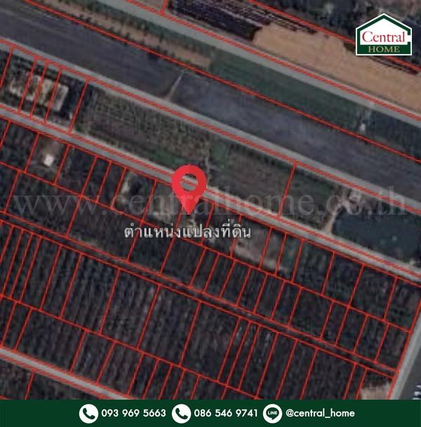 ที่ดินเปล่า 156.7 ตร.วา ถมแล้ว บัวปากท่า บางเลน - นครปฐม 