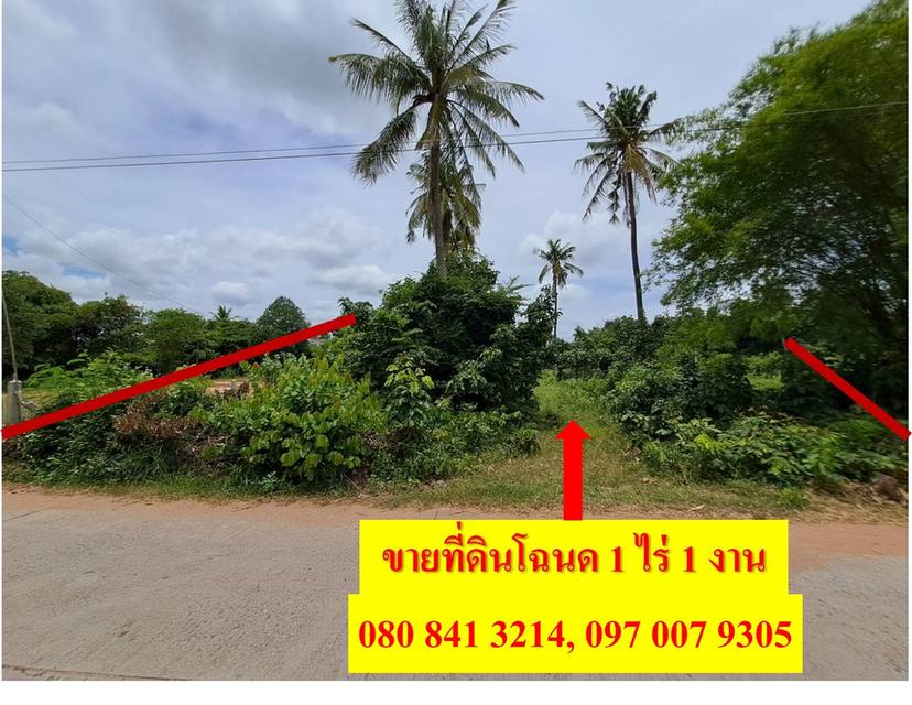 ขายที่ดินโฉนด 1 ไร่ 1 งาน หมู่ 13 ต.ด่านขุนทด อ.ด่านขุนทด จ.นครราชสีมา 5