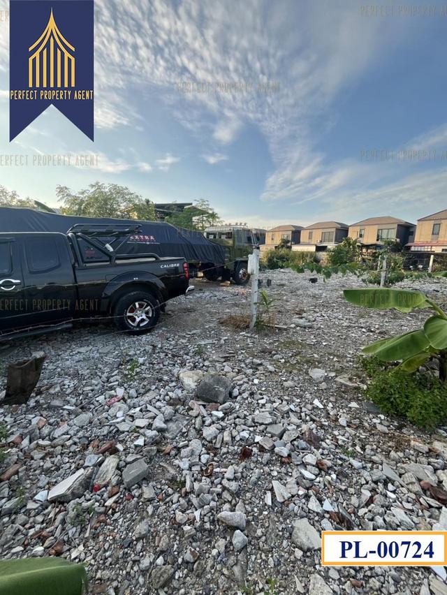 ขายที่ดิน คลองสามประเวศ ลาดกระบัง ขนาด180 ตารางวาเหมาะสร้างบ้านราคาย่อมเยาว์ 3