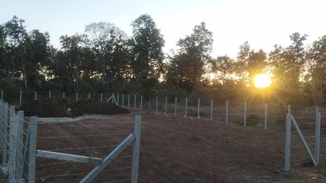 ขายที่ดินเปล่า 1งาน ต.ท่าแร่ สกลนคร 2