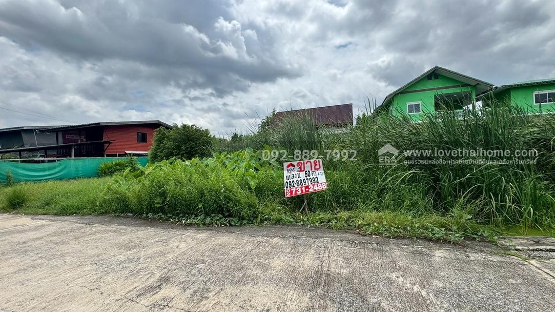 ขายที่ดิน ซอยบรมราชชนนี74 แยก9/14 พื้นที่ 50 ตรว. ราคาถูก ใกล้มหาวิทยาลัยมหิดล ศาลายา 4